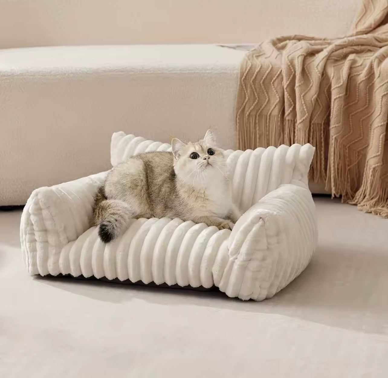 Cozy Cat Sofa - Cream Edition